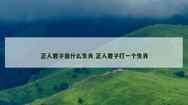 正人君子是什么生肖 正人君子打一个生肖