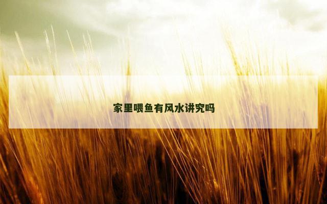 家里喂鱼有风水讲究吗