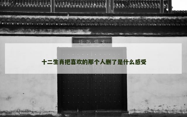 十二生肖把喜欢的那个人删了是什么感受