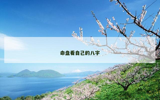 命盘看自己的八字