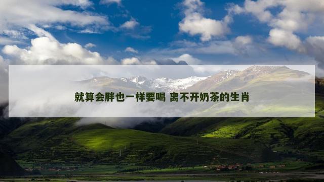 就算会胖也一样要喝 离不开奶茶的生肖