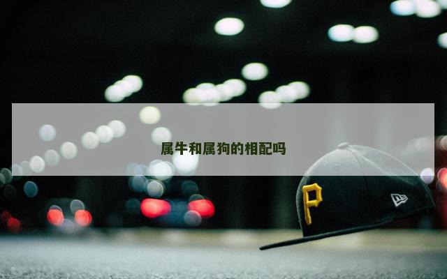 属牛和属狗的相配吗