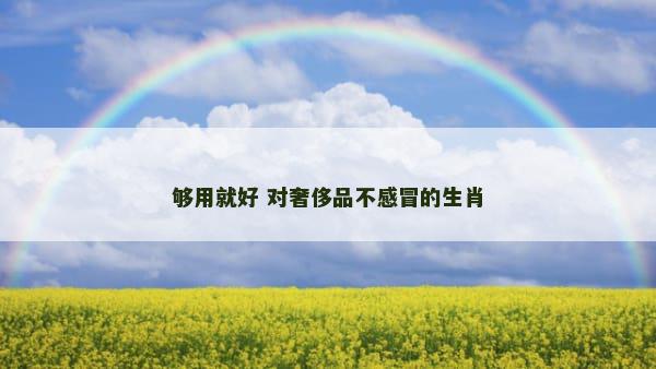 够用就好 对奢侈品不感冒的生肖