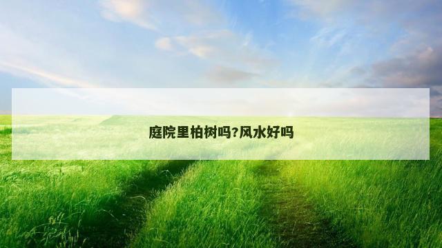 庭院里柏树吗?风水好吗