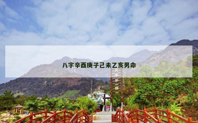 八字辛酉庚子己未乙亥男命