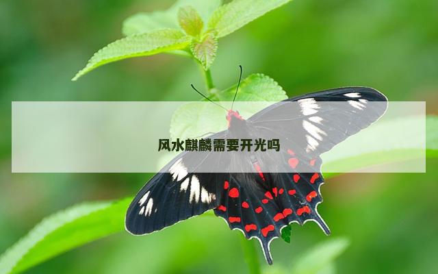 风水麒麟需要开光吗