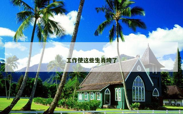 工作使这些生肖垮了