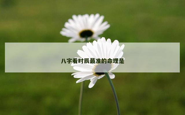 八字看时辰最准的命理是