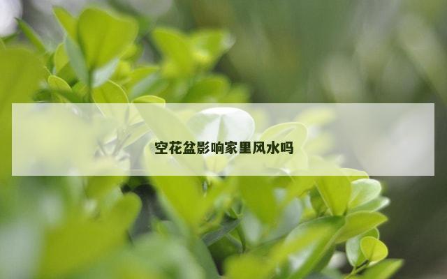 空花盆影响家里风水吗