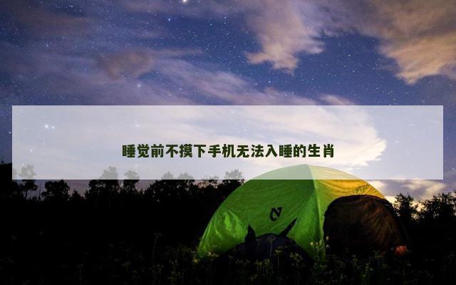 睡觉前不摸下手机无法入睡的生肖
