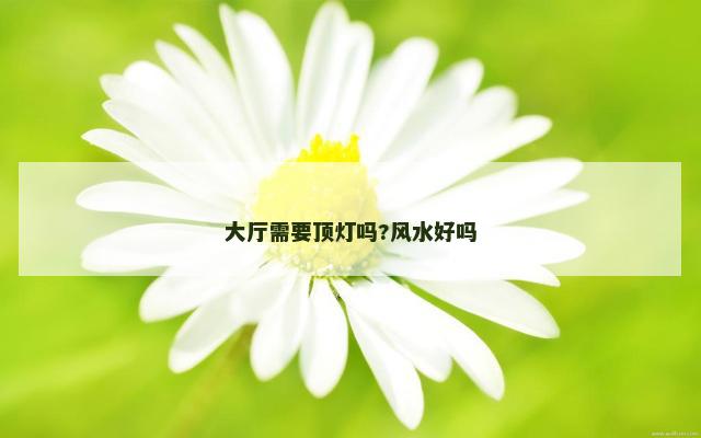 大厅需要顶灯吗?风水好吗