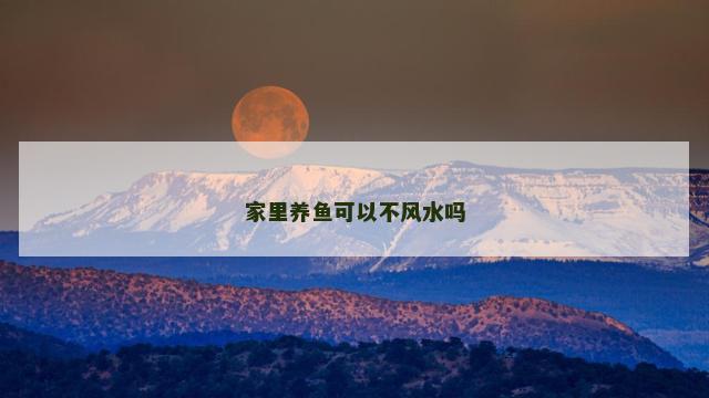 家里养鱼可以不风水吗