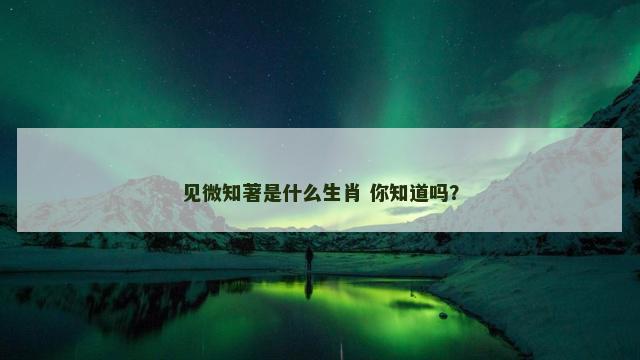 见微知著是什么生肖 你知道吗？