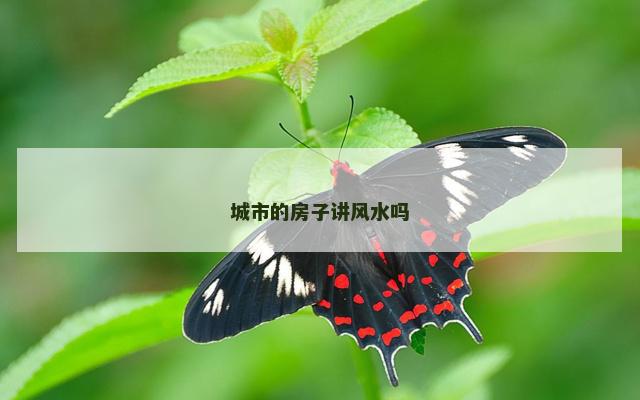城市的房子讲风水吗