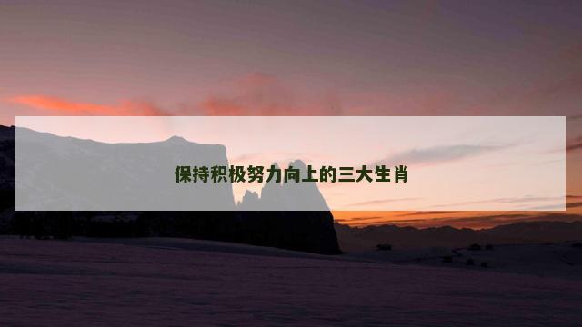 保持积极努力向上的三大生肖
