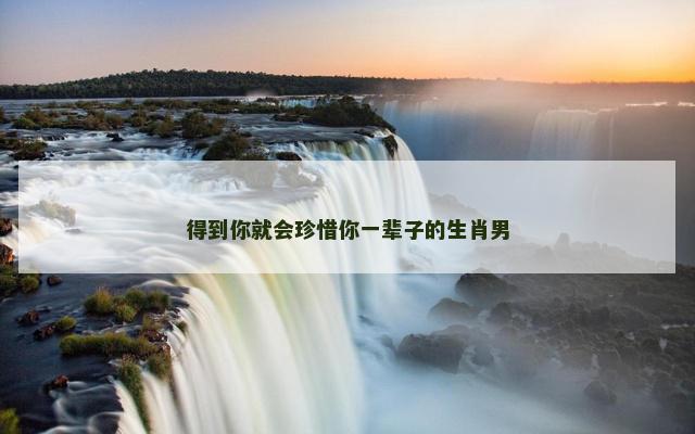 得到你就会珍惜你一辈子的生肖男