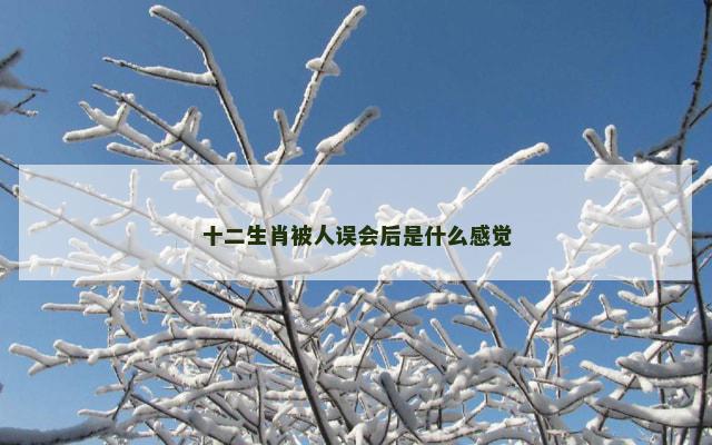 十二生肖被人误会后是什么感觉