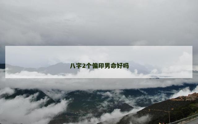 八字2个偏印男命好吗