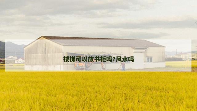 楼梯可以放书柜吗?风水吗