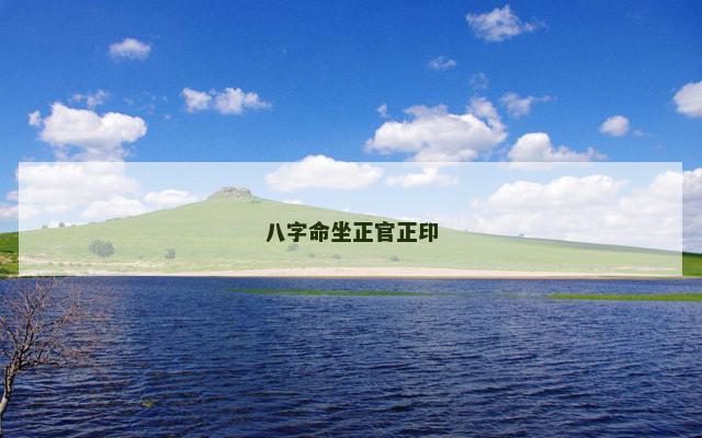 八字命坐正官正印