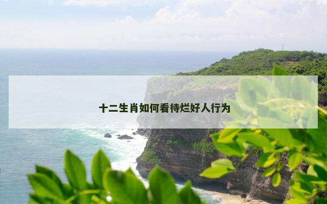 十二生肖如何看待烂好人行为