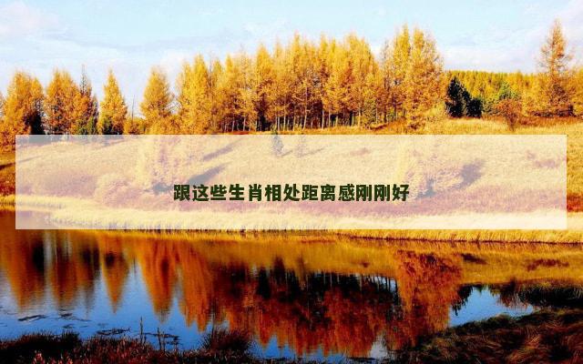 跟这些生肖相处距离感刚刚好