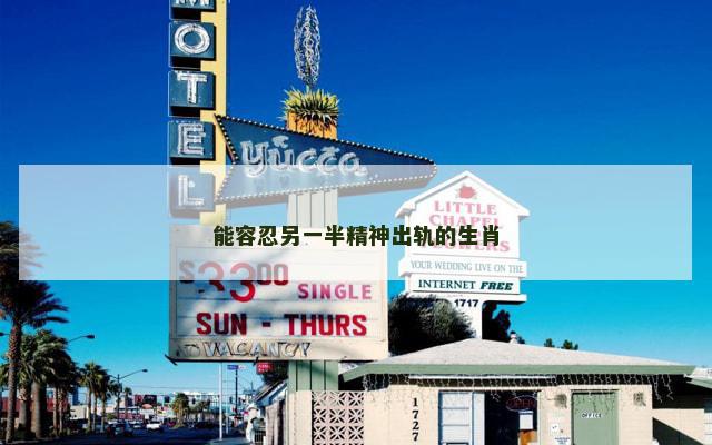 能容忍另一半精神出轨的生肖