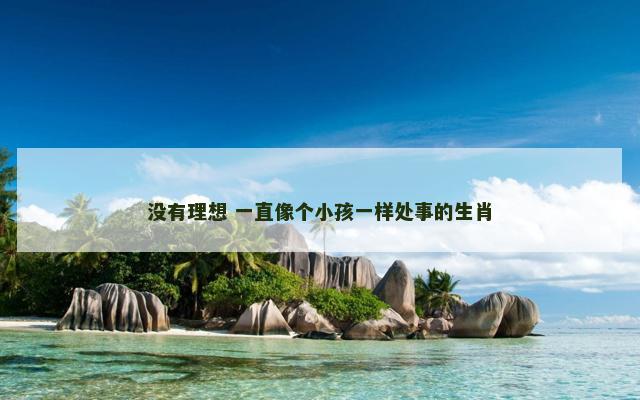 没有理想 一直像个小孩一样处事的生肖