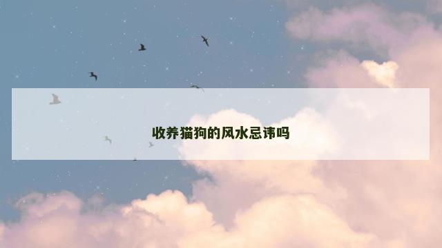 收养猫狗的风水忌讳吗