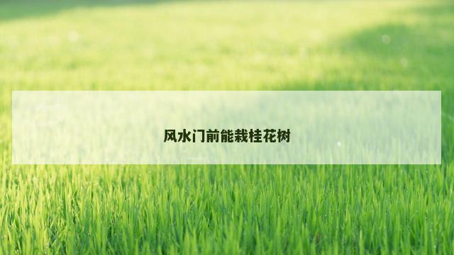 风水门前能栽桂花树
