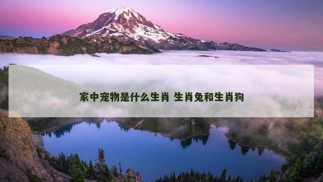 家中宠物是什么生肖 生肖兔和生肖狗