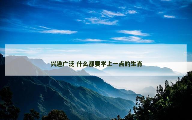 兴趣广泛 什么都要学上一点的生肖