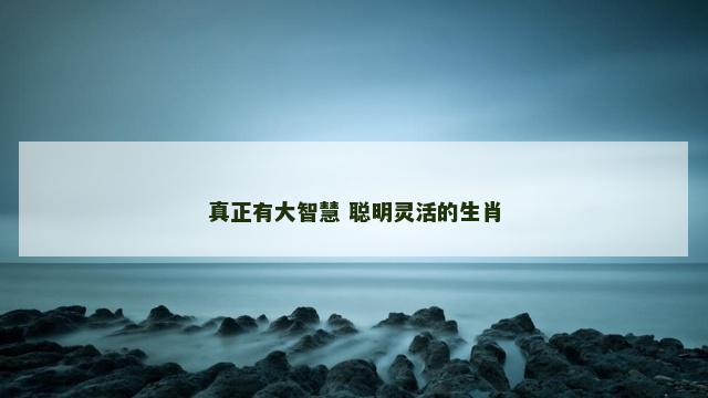 真正有大智慧 聪明灵活的生肖