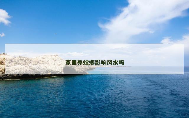 家里养螳螂影响风水吗