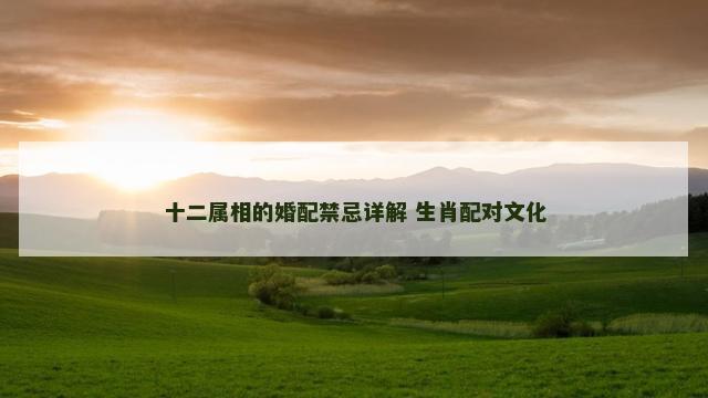 十二属相的婚配禁忌详解 生肖配对文化