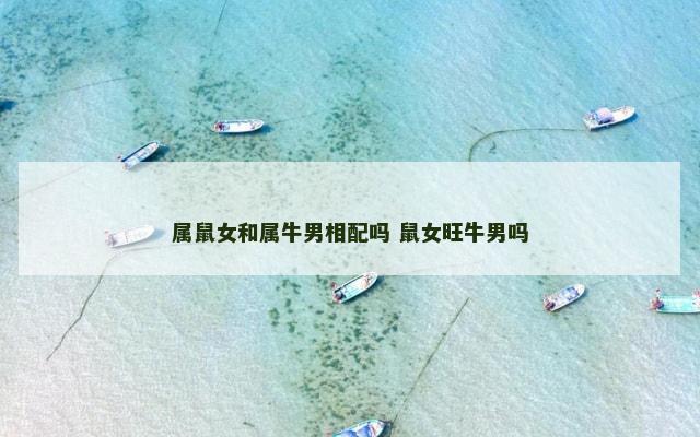 属鼠女和属牛男相配吗 鼠女旺牛男吗