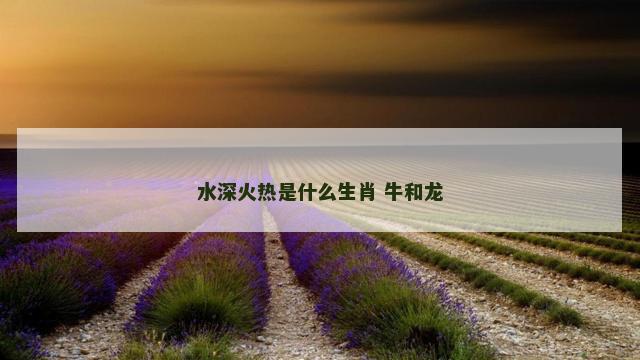 水深火热是什么生肖 牛和龙