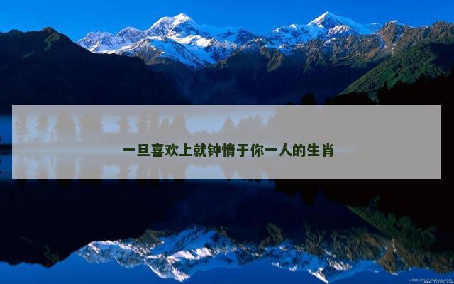 一旦喜欢上就钟情于你一人的生肖