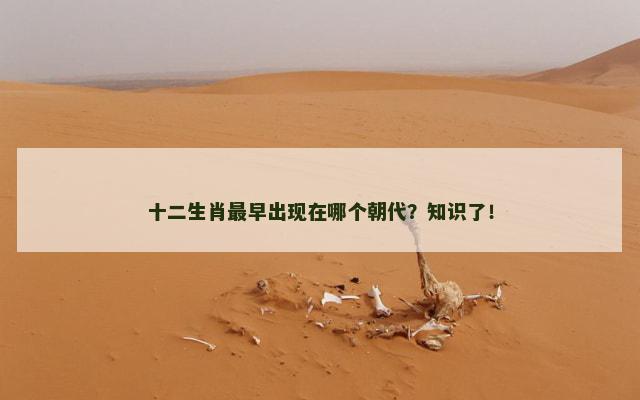 十二生肖最早出现在哪个朝代？知识了！