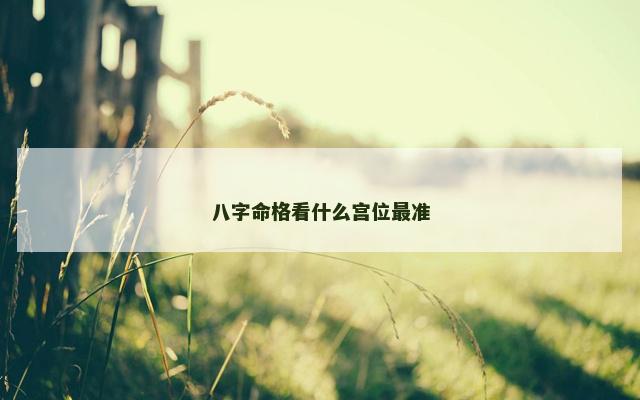 八字命格看什么宫位最准