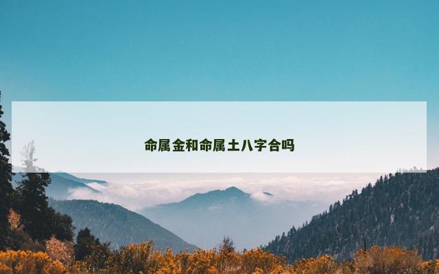 命属金和命属土八字合吗