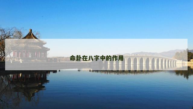命卦在八字中的作用