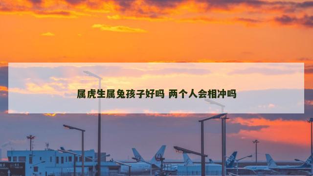 属虎生属兔孩子好吗 两个人会相冲吗