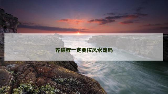 养锦鲤一定要按风水走吗