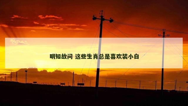 明知故问 这些生肖总是喜欢装小白
