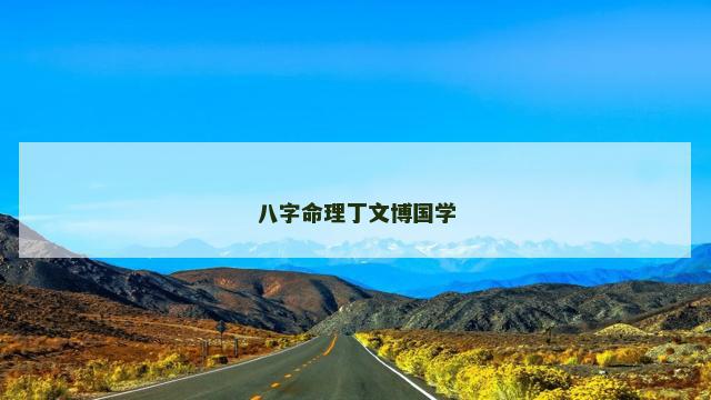 八字命理丁文博国学