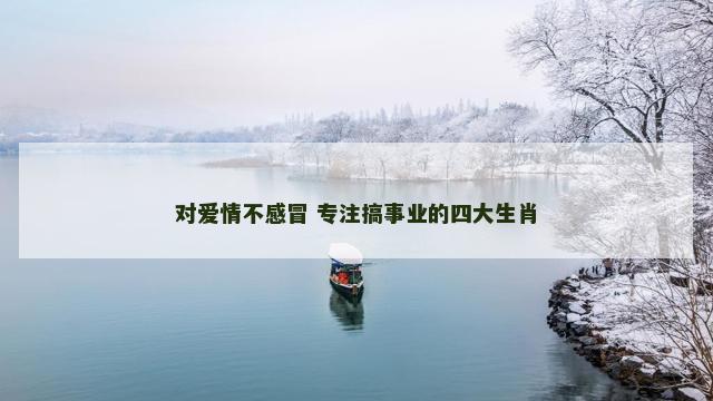 对爱情不感冒 专注搞事业的四大生肖