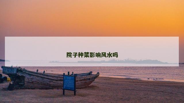院子种菜影响风水吗