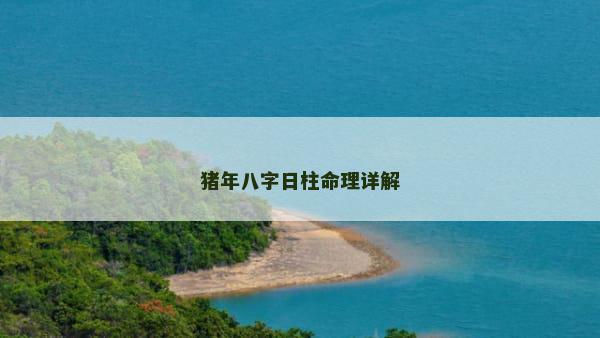 猪年八字日柱命理详解