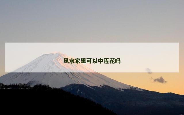 风水家里可以中莲花吗
